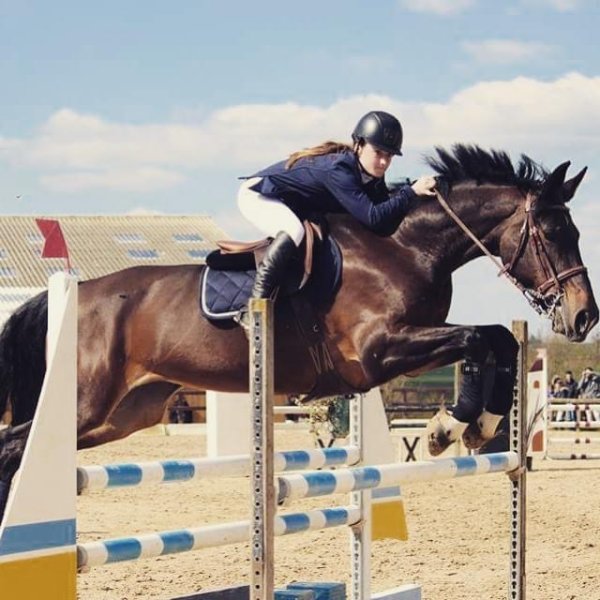 Les Écuries de Mel'Andre - photo 1