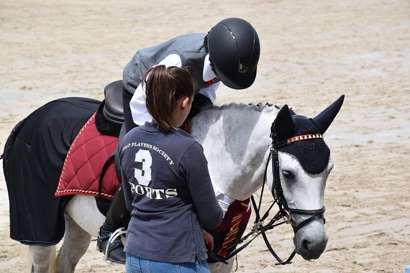 Les Écuries de Mel'Andre - photo 2