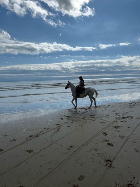 Poney Club de Julie - photo 1
