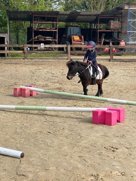 Poney Club de Julie - photo 2