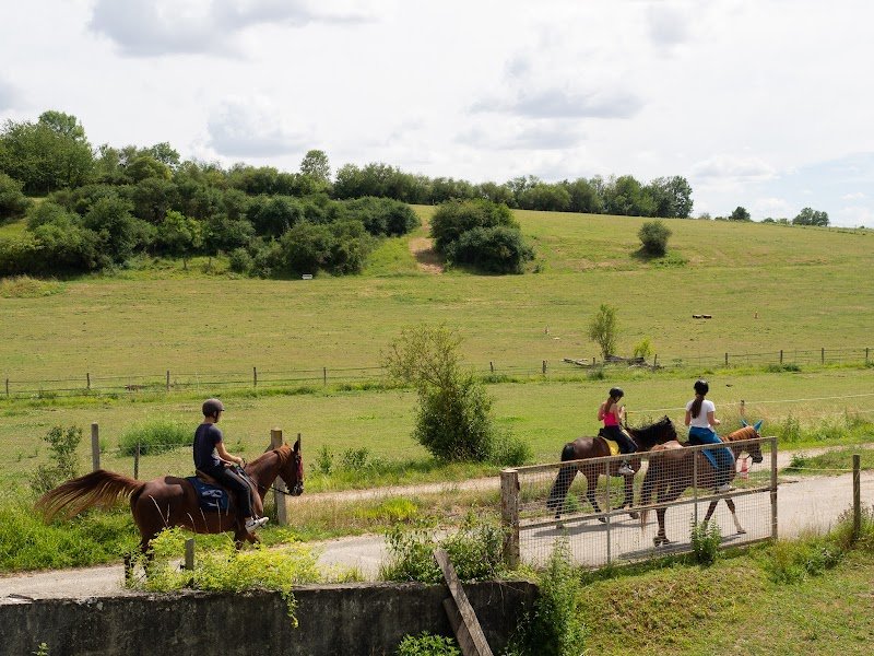 ASEE - Aventure Sport Equestre Ecurie (anciennement Aventure et Vous)