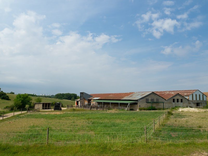 ASEE - Aventure Sport Equestre Ecurie (anciennement Aventure et Vous) - photo 3