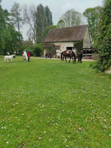 Les Ecuries du Moulin - photo 2