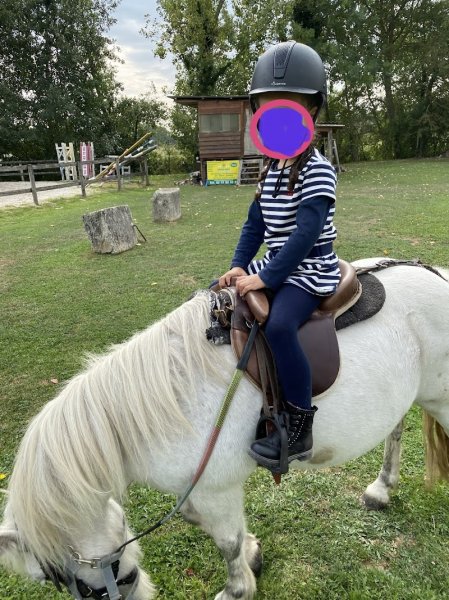 Les Ecuries du Moulin - photo 3