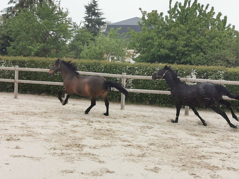 les écuries du Parc de Crécy