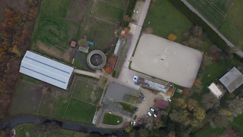 Haras du Moulin Jaune