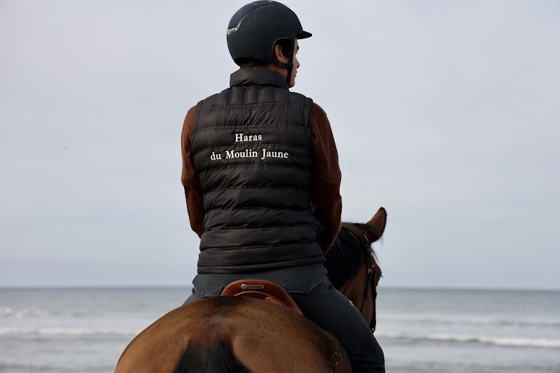 Haras du Moulin Jaune - photo 2