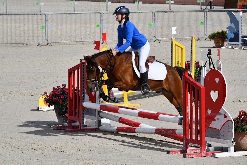 Les écuries de Chérisy - photo 3