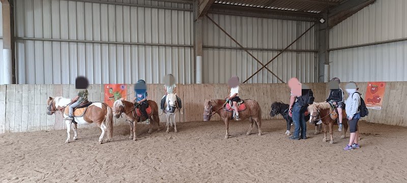 Centre Equestre des Vieilles Ventes - photo 2