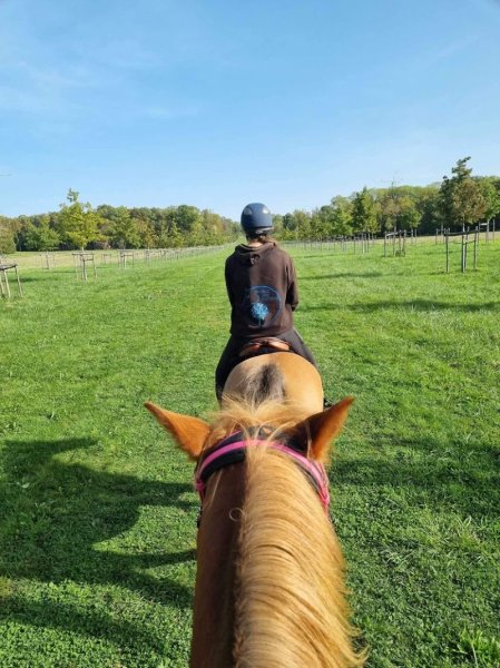 Ecurie des Gatines - photo 2