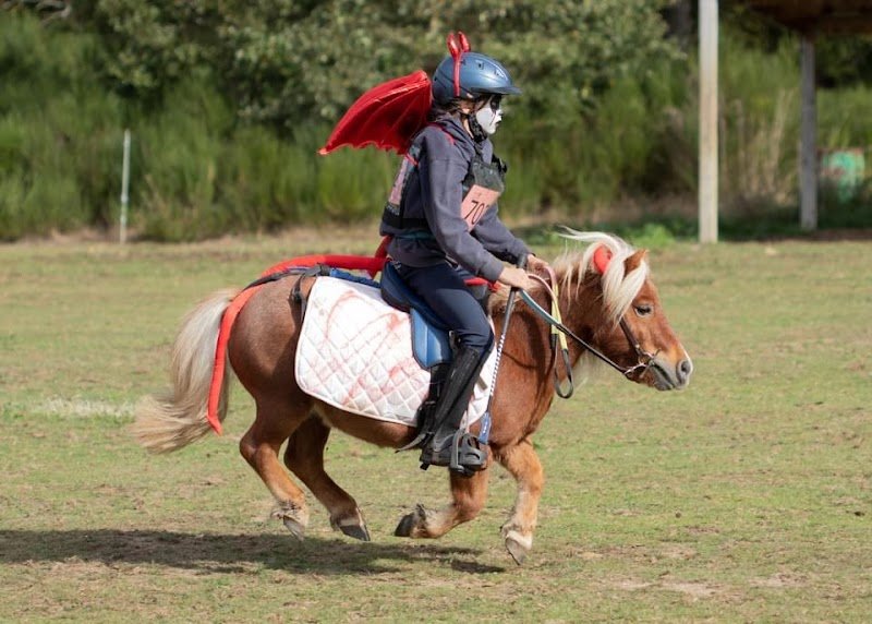 Ecurie des Gatines - photo 3