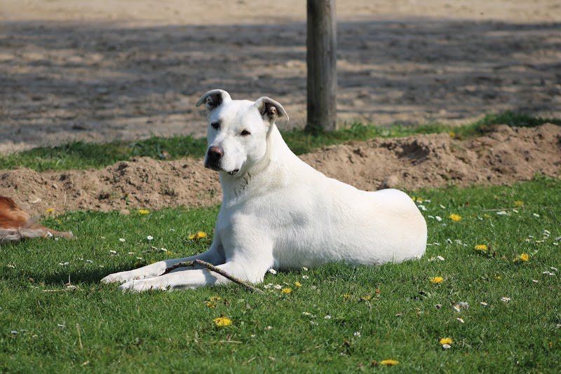Ecurie Equi'libre - photo 2