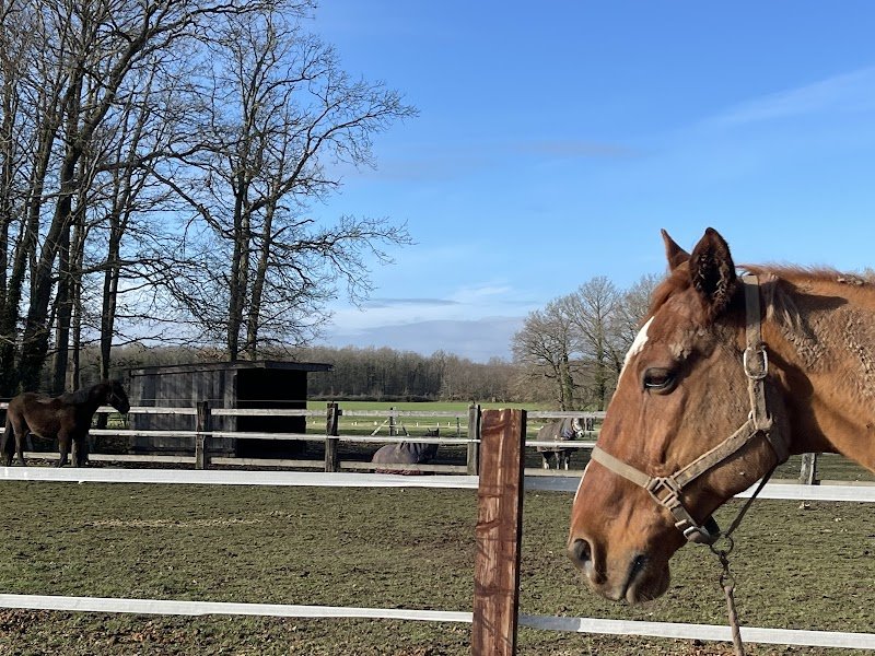 Ecuries de la Coudrelle