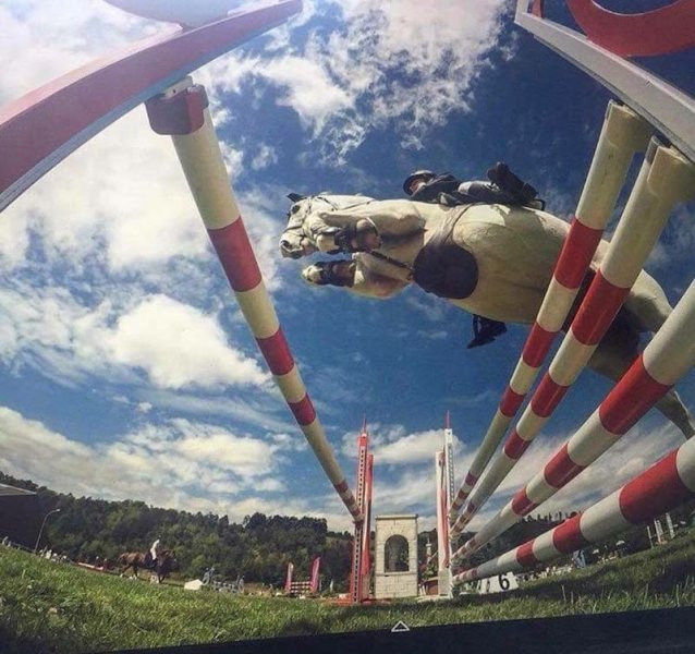 Ecuries de la Coudrelle - photo 3