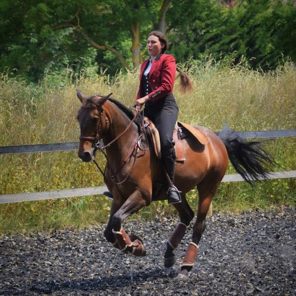 Les Écuries de Damaline - photo 3