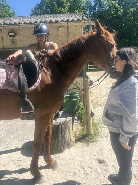 Ecurie SC sport - photo 1