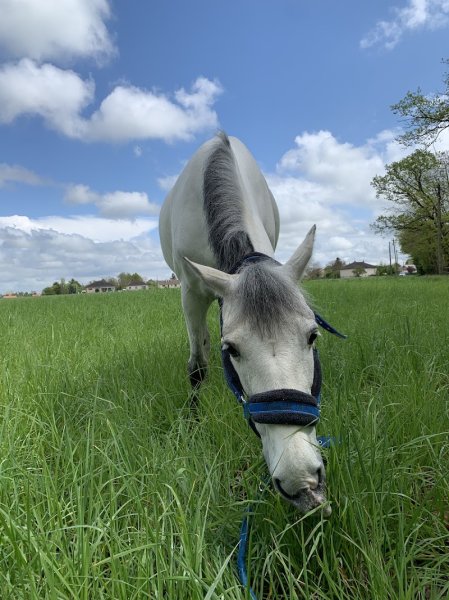 Ecurie SC sport - photo 2