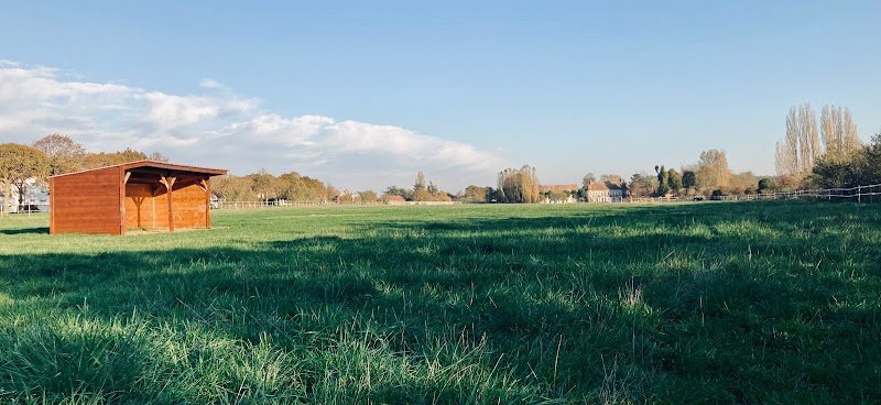 Pension Chevaux Beatrix - photo 3