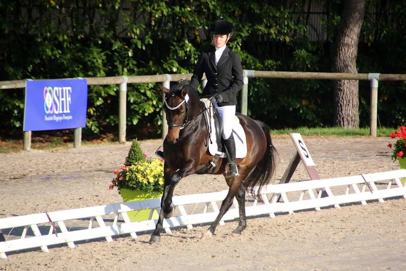 LES ECURIES D'ARENGUE - photo 3