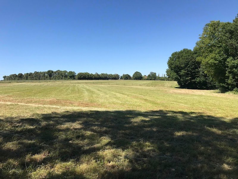 Haras Dell'Alba - photo 3