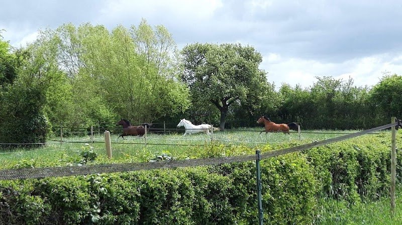 Centre équestre "Les Écuries de la Noue Gadeau" - photo 1