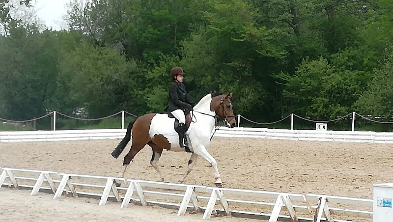 Centre équestre "Les Écuries de la Noue Gadeau" - photo 2
