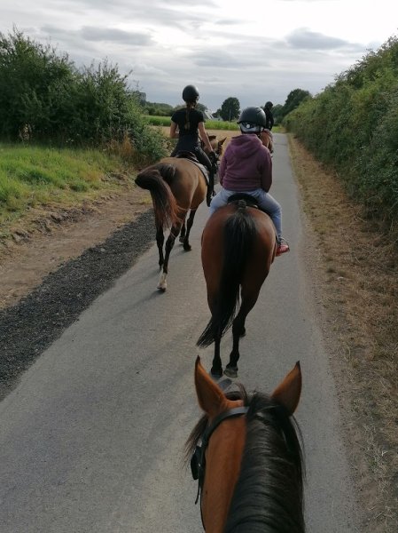 Centre équestre "Les Écuries de la Noue Gadeau" - photo 3