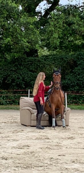 Ferme équestre du Grand Épinay - photo 1