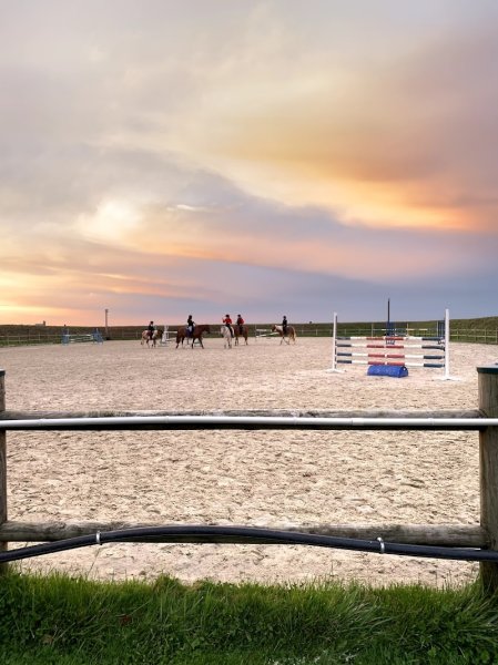 Haras Des Myosotis - Pension chevaux - photo 2
