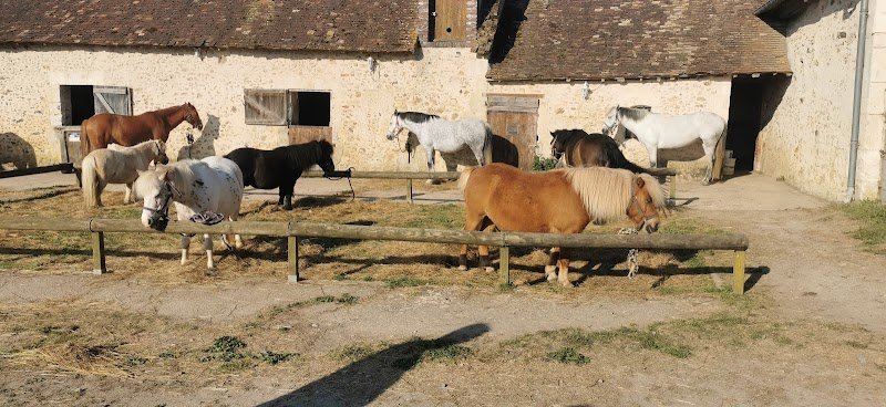 Poney Club des Cormiers