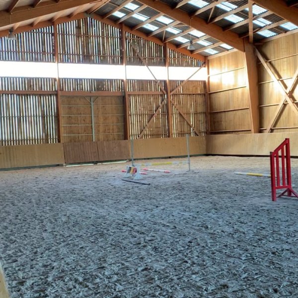 Ecurie du Bois Normand - Elevage Normand - EARL Perdereau - photo 1