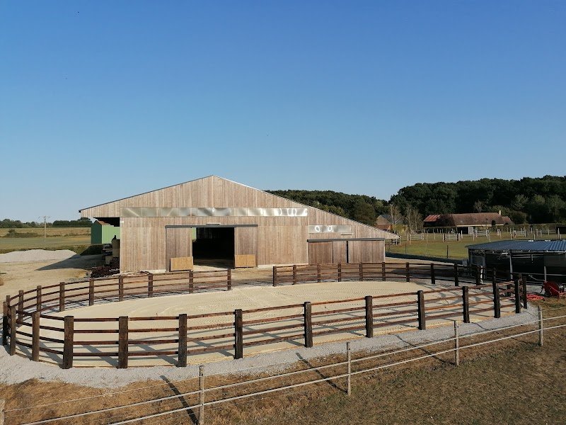 Ecurie du Bois Normand - Elevage Normand - EARL Perdereau - photo 2