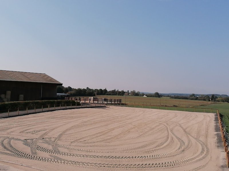 Ecurie du Bois Normand - Elevage Normand - EARL Perdereau - photo 3