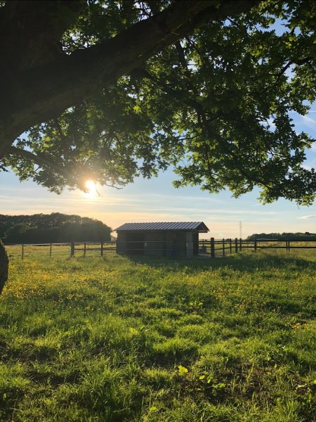 Les cavaliers du Goulet