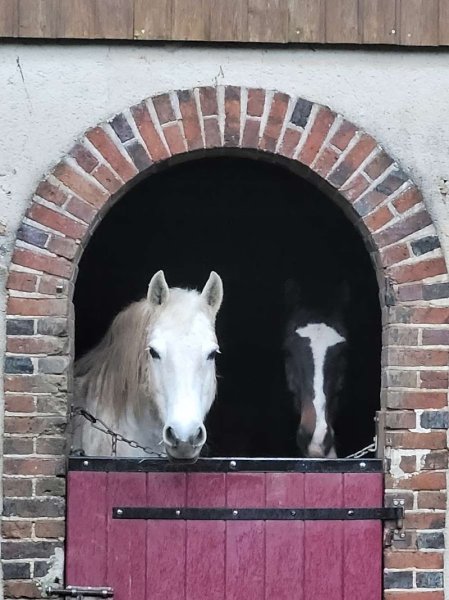 Les cavaliers du Goulet - photo 2