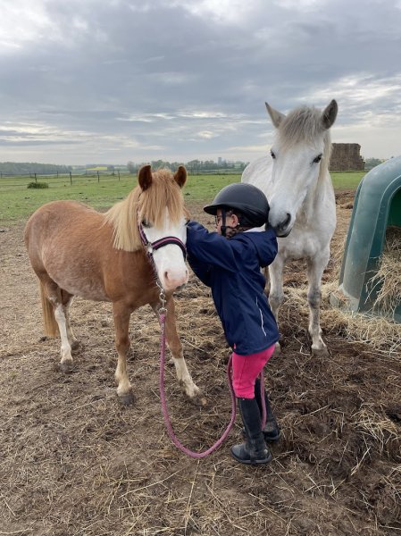Les ecuries du Chesne Château - photo 3
