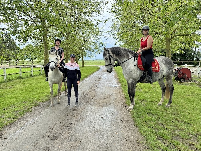 le château des poneys