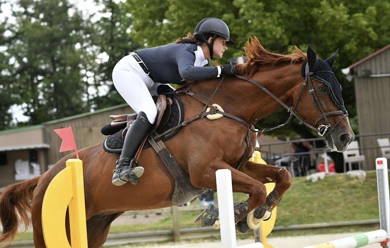 Ecurie Pauline AUGER - photo 1