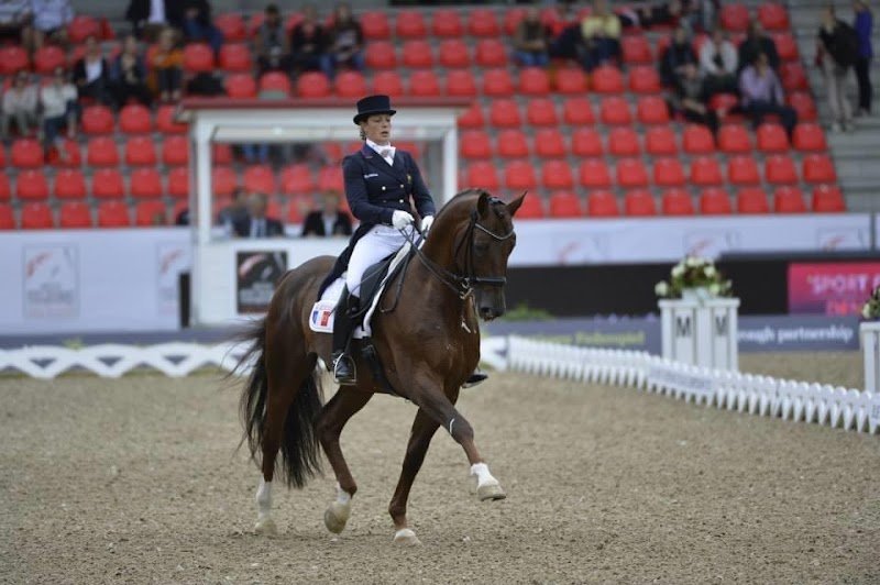 Haras de Lauture - photo 2