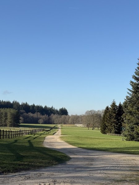 ÉCURIE CBC STABLES ~ Domaine de la Butte Ronde - photo 3