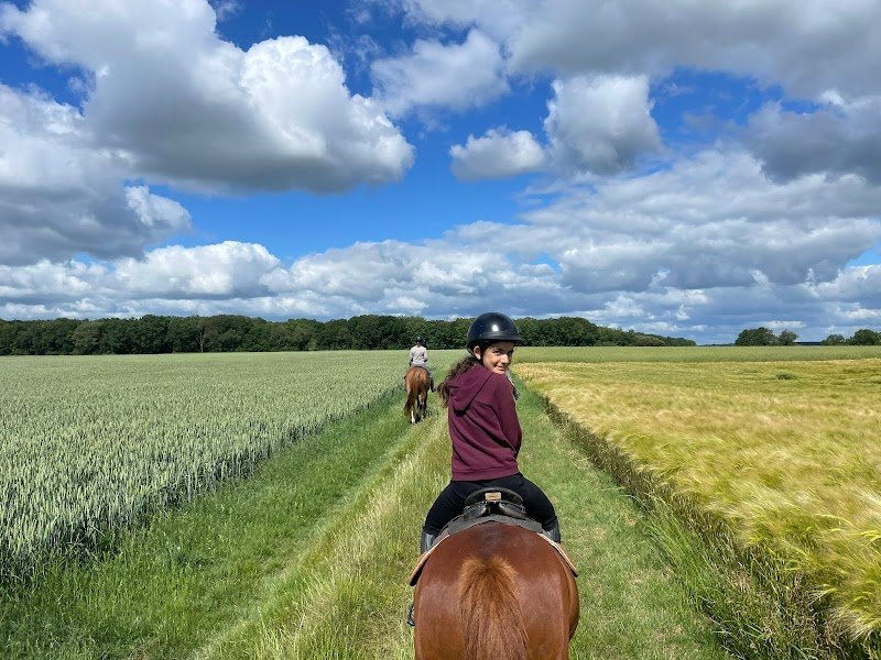 Haras de la Croix - photo 2
