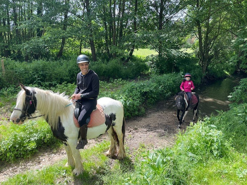 Haras de la Croix - photo 3