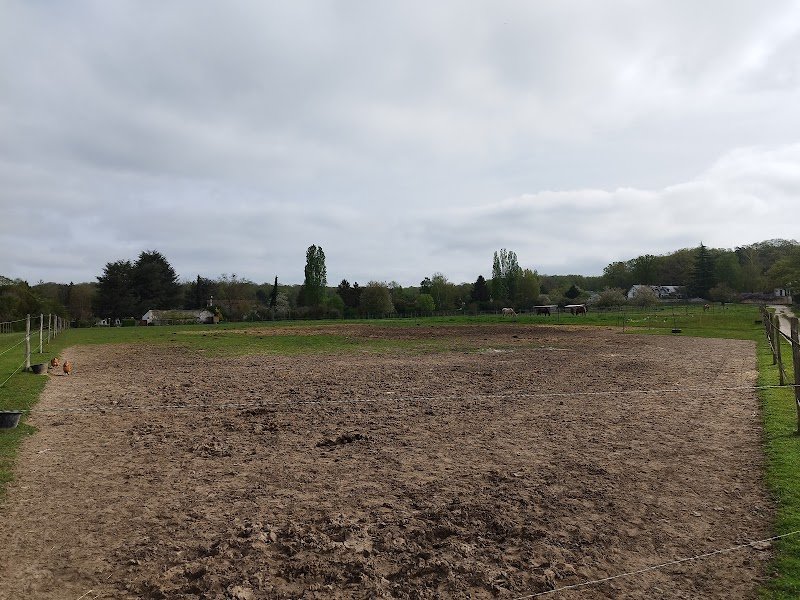 Ecuries de la Vallée aux Chevreuils - photo 3