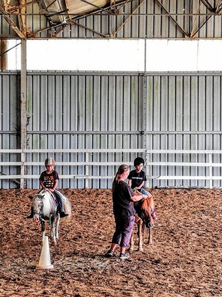 Poney-Club des Crins Fleuris - photo 2