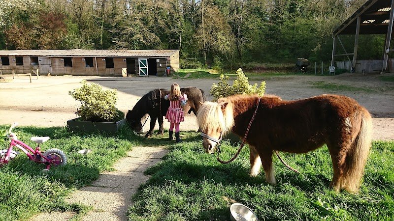 Centre Equestre la Vallée des Bois - photo 2