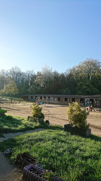 Centre Equestre la Vallée des Bois - photo 3