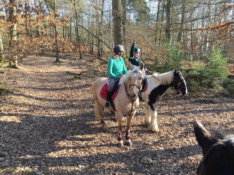 L'écurie de la petite vallée - photo 2