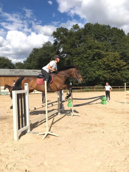 L'écurie de la petite vallée - photo 3