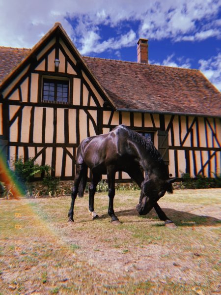 Haras de la Ferrandière