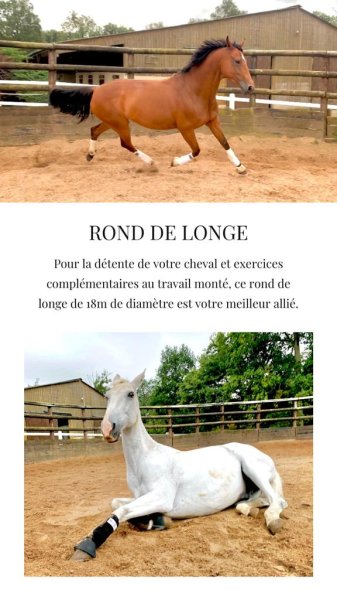 Haras de la Ferrandière - photo 2